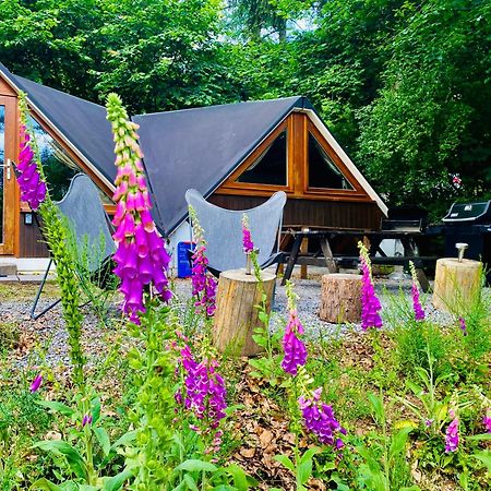 Chalet Tropical Avec Bain A Bulles - In The Woods Gesves Exteriér fotografie